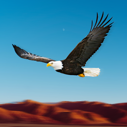 Bird Racing Simulator: Eagle Race Game icon