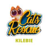 Rescue Cats
