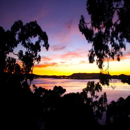 Early Morning Sound icon