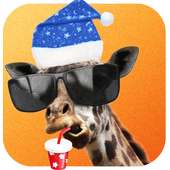 Snap Filter-Funny Face Changer