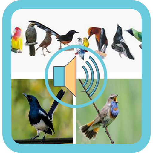 Complete Chirping Master Voice icon