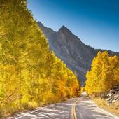 GTA Vice City 2016 icon