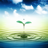 Ripple Water Drop icon