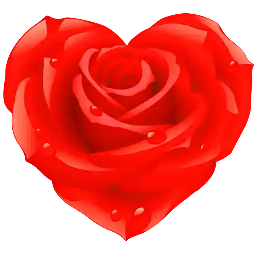 Flowers and roses stickers - WAStickerApps icon