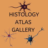Histology Atlas Gallery 2020 icon