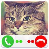 Call Video Cat - Fake Call icon