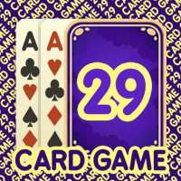 29 Card Game * PLUS