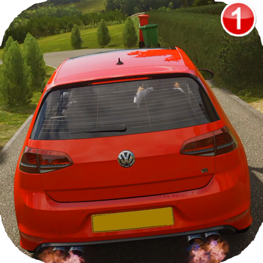 Racing Volkswagen Driving Sim 2020 icon