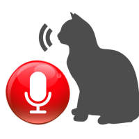 Cat Translator Game - Communicate with Animals