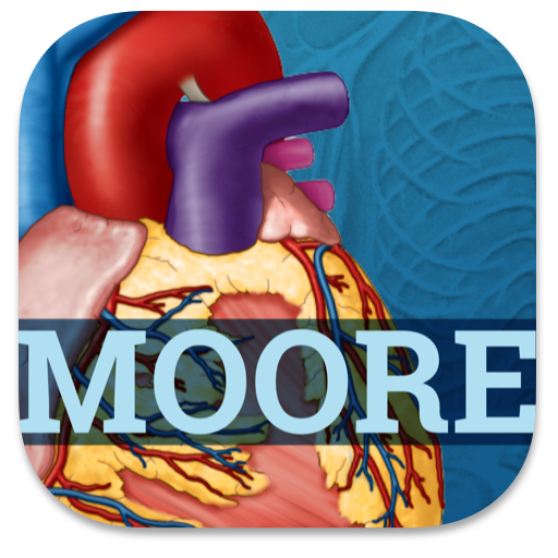 USMLE Clinical Anatomy Flashcards أيقونة