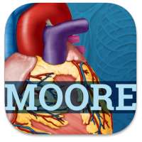 USMLE Clinical Anatomy Flashcards on 9Apps