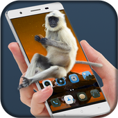 Monkey On Screen Prank icon