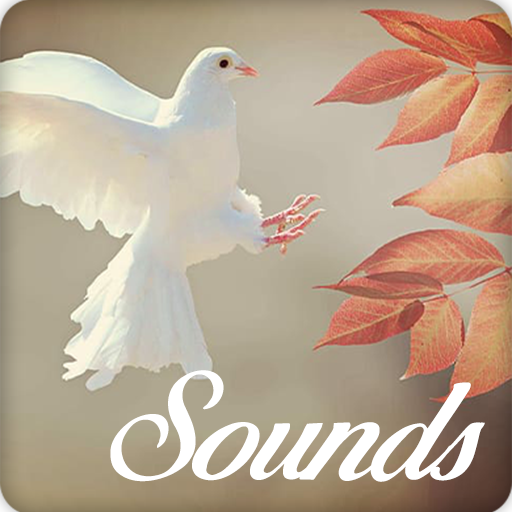 Dove Bird Sounds and Ringtone Audio icon