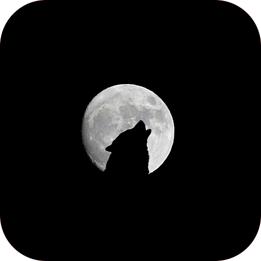 HD Black Wallpapers icon