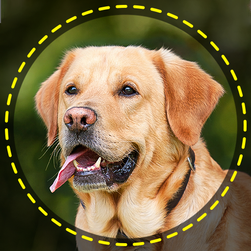 Dog Breed Scanner Dog Breed ID icon