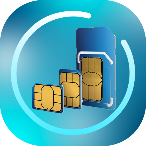 SIM &amp; Phone Details icon