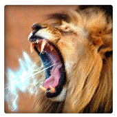 Animal Sounds with photos icon