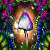 Art and Drawing Wallpapers icon