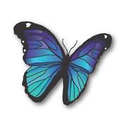 Brighter Tomorrows Consulting icon