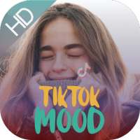 Mood Booster Music Tiktok Songs Relaxing Studying