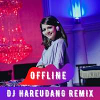 DJ Hareudang Remix Full Bass Offline on 9Apps