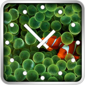 Fish Clock Widget icon