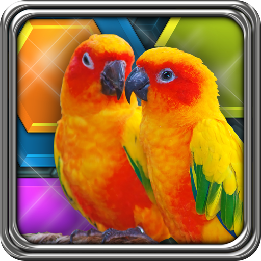 HexLogic - Birds icon