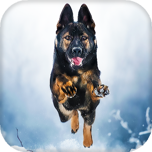 German Shepherd Live Wallpaper - backgrounds hd icon