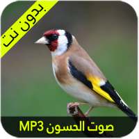 صوت الحسون الأصلي on 9Apps
