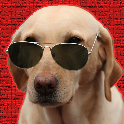 Trending Funny Videos icon