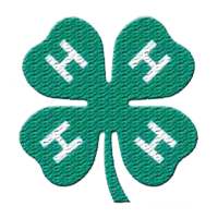 اجمل صور حرف H مزخرف