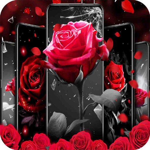Red Rose 4K Latest Wallpaper icon