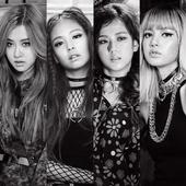 Blackpink Wallpaper icon