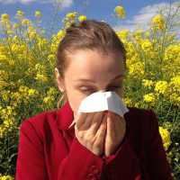 Home Remedy for Allergy on 9Apps