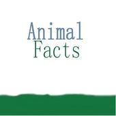 Animal Facts icon