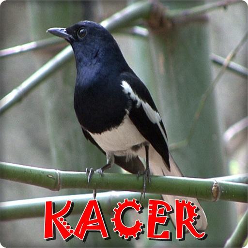 Kacer Master Offline icon