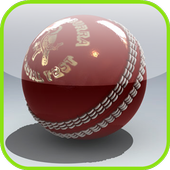 Free Cricket Games icon