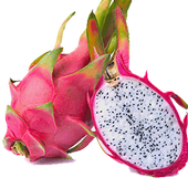 Exotic Fruit Memory icon