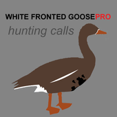 White Fronted Goose Calls icon