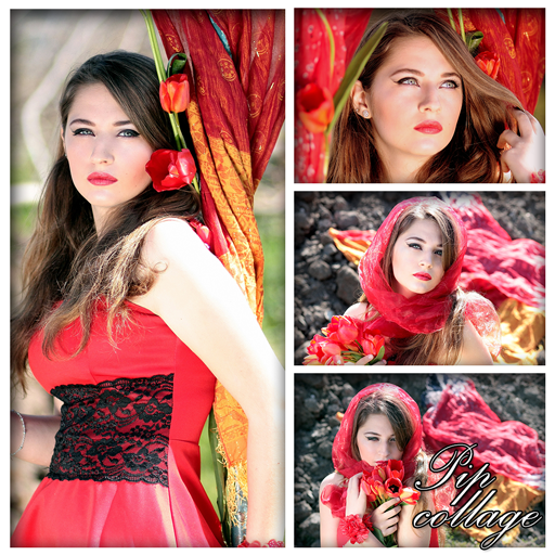 PIP Frame Collage Expert icon