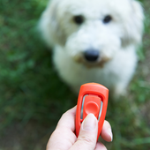 Dog Clicker icon