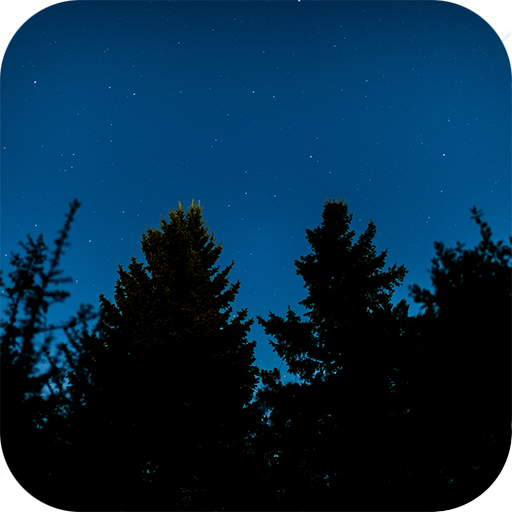 Fireflies Live Wallpaper icon