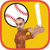 Real Street Cricket 3D icon