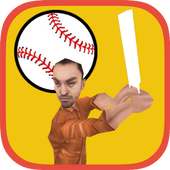 Real Street Cricket 3D