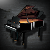 Piano Chords And Scales icon