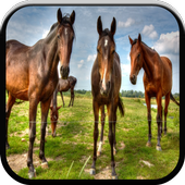 Fun Farm: Animal Game For Kids icon