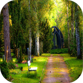 Nature Live Wallpaper icon