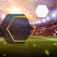 Poza Tips - 2 to 5 Odds Daily