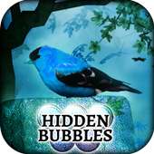Hidden Bubbles: Spring Garden