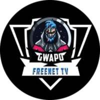 Gwapo Freenet VPN